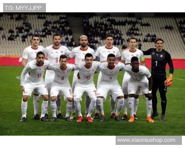 德国与瑞士足球历史交锋记录分析与比分回顾